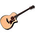 Builder’s Edition 514ce Natural + Etui Taylor