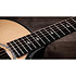 Builder’s Edition 514ce Natural + Etui Taylor