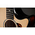 Builder’s Edition 514ce Natural + Etui Taylor