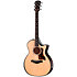 Builder’s Edition 514ce Natural + Etui Taylor