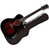 Builder’s Edition 524ce Mahogany + Etui Taylor