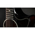 Builder’s Edition 524ce Mahogany + Etui Taylor