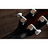 Builder’s Edition 524ce Mahogany + Etui Taylor