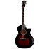 Builder’s Edition 524ce Mahogany + Etui Taylor