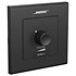 CC-1D Control Center Black Bose Professional