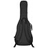 GT Transit Acoustic Black Gator