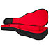 GT Transit Acoustic Black Gator