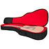GT Transit Acoustic Black Gator
