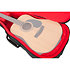 GT Transit Acoustic Black Gator