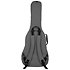 GT Transit Acoustic Grey Gator