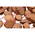 PBSHKENL Kenari Nut Shaker Pearl