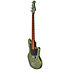 Roasted Capri Shortscale Onyx Green Metallic Ashdown