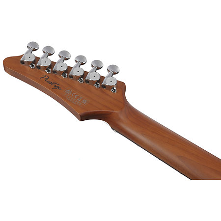 AZ2204NW-GRM Grey Metallic + Etui Ibanez