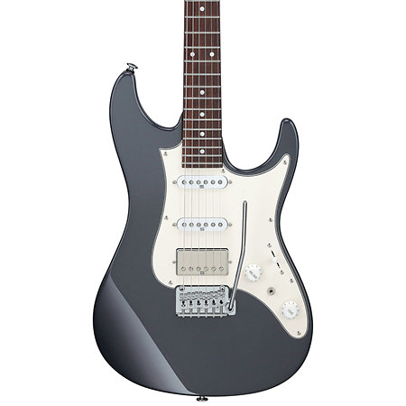 AZ2204NW-GRM Grey Metallic + Etui Ibanez