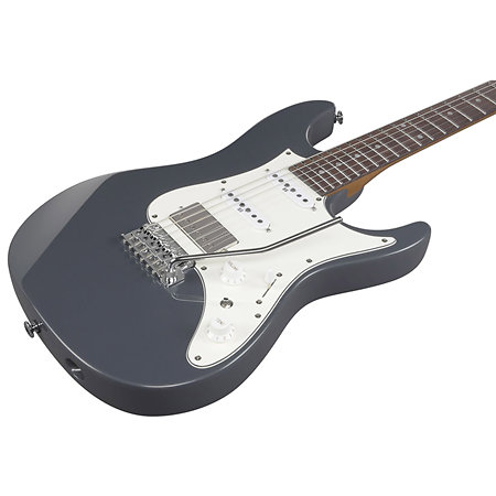 AZ2204NW-GRM Grey Metallic + Etui Ibanez