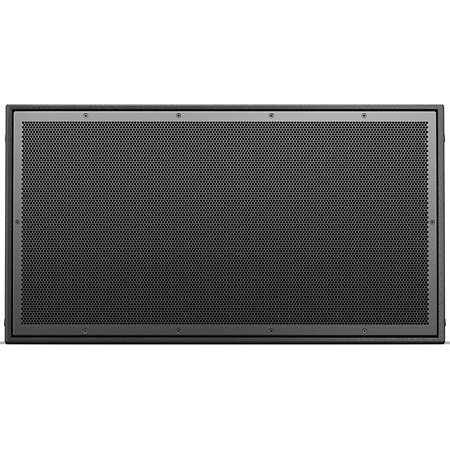 Bose Professional ArenaMatch AM20/100 DeltaQ