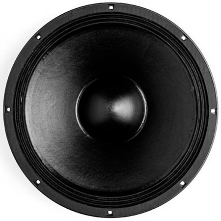 15NA100 8 Ohm B&C Speakers