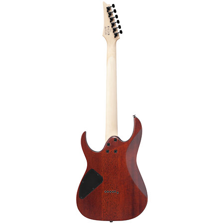 RG421S-SEM Sea Shore Matte Ibanez