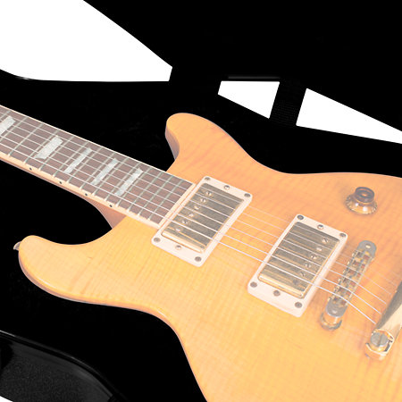 GTSA GTRLPS Gator