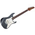 AZ2204NW-GRM Grey Metallic + Etui Ibanez