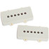 Vintage Jazzmaster Silencer Set Parchment Fishman