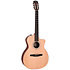 214ce-N Natural Taylor