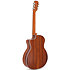214ce-N Natural Taylor