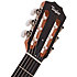 214ce-N Natural Taylor