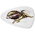 BL32R73 Dirty Donny Mummy 0,73 mm Sachet de 36 Dunlop