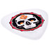 BL40R73 Alan Forbes Blackline Flame Skull 0,73 mm Sachet de 36 Dunlop