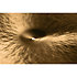 122XALN HHX 22" Anthology Low Ride Sabian