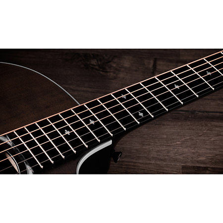 214ce Plus Special Edition Trans Grey Taylor