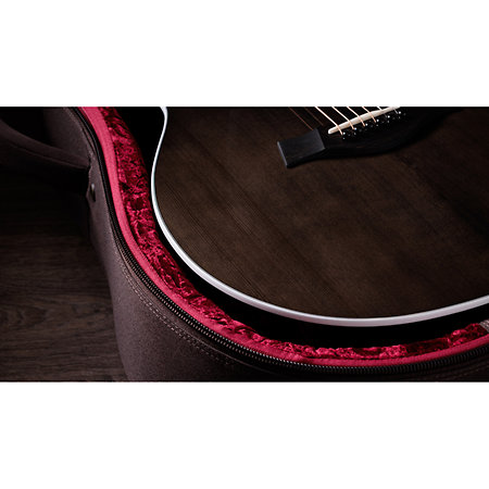 214ce Plus Special Edition Trans Grey Taylor
