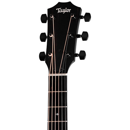 214ce Plus Special Edition Blue Taylor
