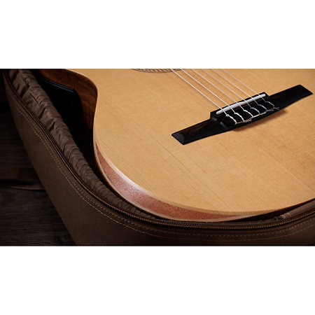 Academy 12e-N LTD Figured Koa/Spruce + Housse Taylor