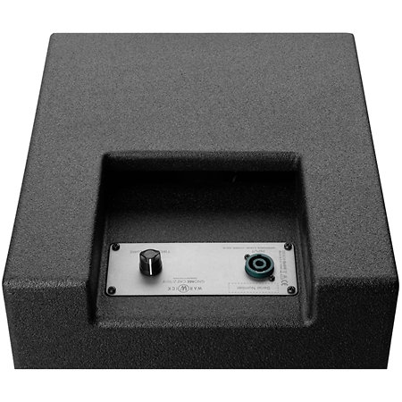 Gnome Pro CAB 2/10/4 300 watts Warwick