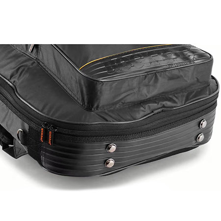 Deluxe Line Basse hollow body Rockgear
