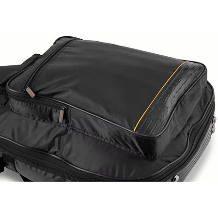 Deluxe Line Basse hollow body Rockgear