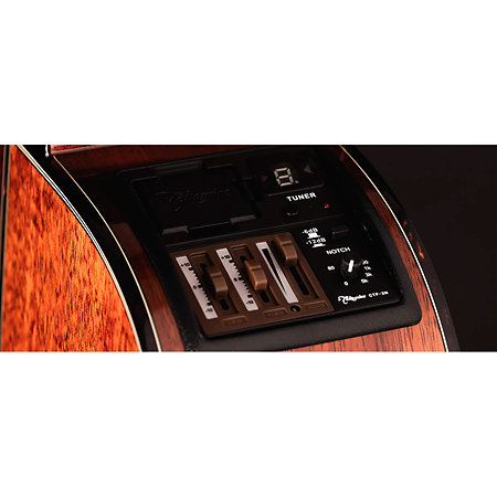 LTD2025 Antique Evergreen Takamine