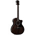 214ce Plus Special Edition Trans Grey Taylor