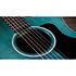 214ce Plus Special Edition Blue Taylor