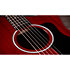 224ce Plus Special Edition Trans Red Taylor