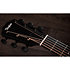 224ce Plus Special Edition Trans Red Taylor