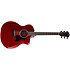 224ce Plus Special Edition Trans Red Taylor