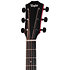 224ce Plus Special Edition Trans Red Taylor