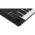 Kontrol S61 MK3 + K15 Ultimate Native Instruments
