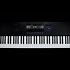 Kontrol S88 MK3 + K15 Ultimate Native Instruments
