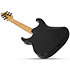 SGR Banshee Floyd Rose Gloss Black Schecter