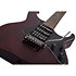 SGR Banshee Floyd Rose Walnut Satin Schecter