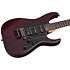 SGR Banshee Floyd Rose Walnut Satin Schecter